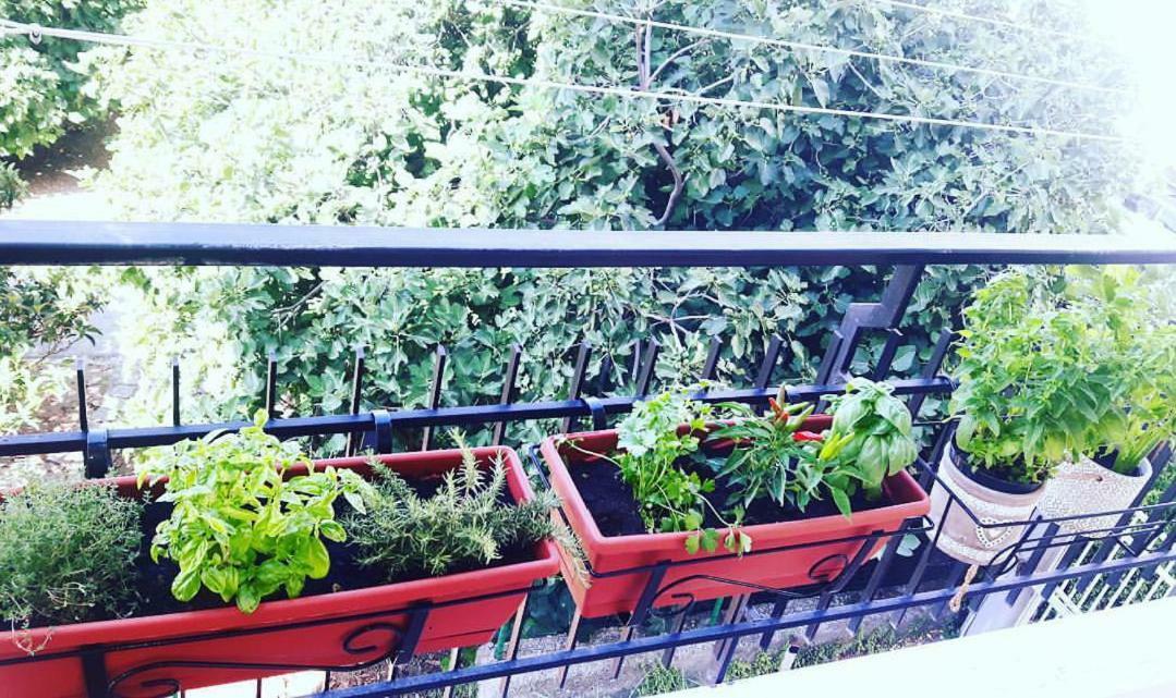 Casa Luisa Panzió Salerno Kültér fotó